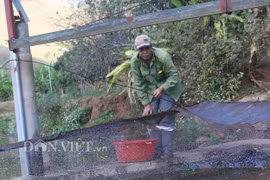 Nơi núi cao đèo sâu, đào ao thả cá cuộc sống khấm khá hẳn lên