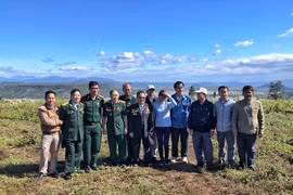 Địa điểm chiến thắng Plei Ring là di tích lịch sử cấp tỉnh