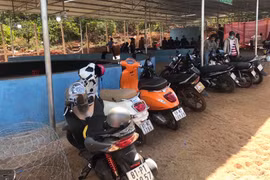 Vụ triệt phá trường gà trong khu du lịch: 3 ô tô và 13 mô tô không có người đến nhận