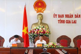 Gia Lai tiếp nhận, triển khai 12 dự án viện trợ phi chính phủ nước ngoài