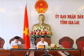 Gia Lai tiếp nhận, triển khai 12 dự án viện trợ phi chính phủ nước ngoài