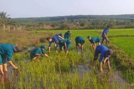 Đức Cơ nhiều hoạt động ý nghĩa trong ngày ra quân Tháng Thanh niên