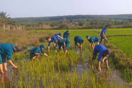Đức Cơ nhiều hoạt động ý nghĩa trong ngày ra quân Tháng Thanh niên