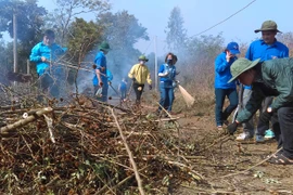 TP. Pleiku: Các cơ sở Đoàn hưởng ứng hoạt động "Ngày chủ nhật xanh"