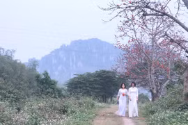 Mùa hoa gạo thắp lửa đỏ trời tháng Ba làm mê mẩn giới trẻ