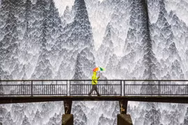 Đã mắt với những bức ảnh du lịch đẹp nhất thế giới năm 2020