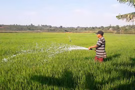 Gồng mình chống hạn cho lúa Đông Xuân trên địa bàn Gia Lai
