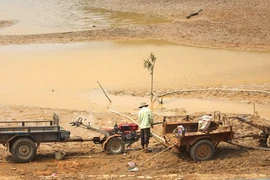 Tây Nguyên căng sức chống hạn