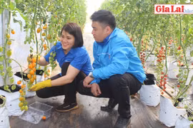 Nữ thạc sĩ với "lối rẽ" đầy triển vọng