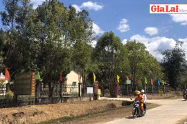 Gia Lai: Đổi thay "ốc đảo" Kon Pne