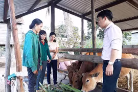 Gia Lai: Phấn đấu giảm tỷ lệ hộ nghèo còn 4,5%