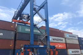 Tổng cục Hải quan chỉ đạo "hỏa tốc" có thể trưng cầu giám định khẩu trang…