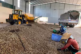 Ban Quản lý Khu Kinh tế tỉnh Gia Lai tạo thuận lợi cho doanh nghiệp