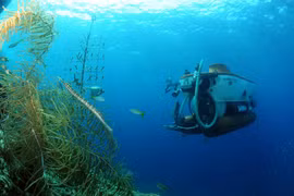 7 kỳ quan thiên nhiên thế giới 2020