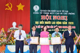 Công ty Cao su Chư Prông: Phấn đấu thu nhập đạt trên 5,2 triệu đồng/người/tháng