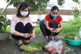 Chống dịch Covid-19: Nhiệm vụ từ... trái tim