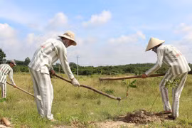 Điều kiện được đề nghị đặc xá năm 2021