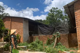 Khổ sở vì cơ sở chăn nuôi heo gây ô nhiễm