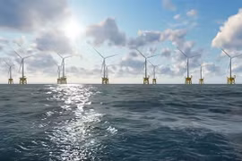 Nhà đầu tư điện gió "sợ" đấu thầu - cần thực hiện điều tra tổng thể