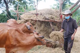 Chư Sê chăm lo gia đình chính sách, người có công