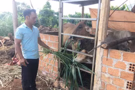 Thoát nghèo nhờ thay đổi tư duy