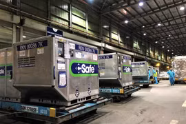 Thêm 600.000 liều vắc xin Covid-19 Nhật Bản tài trợ về đến TP.HCM