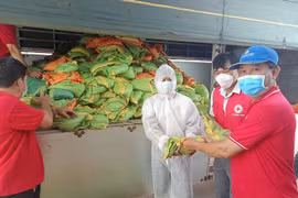 Mạch ngầm quê hương