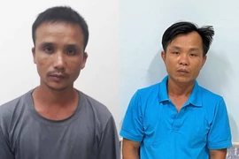 Gia Lai: Bắt giữ 2 đối tượng vận chuyển hơn 22 m3 gỗ lậu