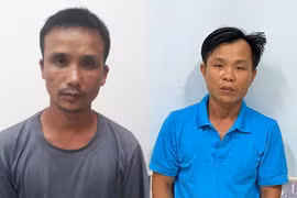 Gia Lai: Bắt giữ 2 đối tượng vận chuyển hơn 22 m3 gỗ lậu