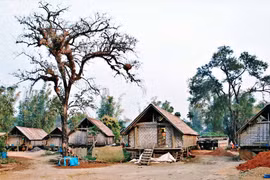 Tây Nguyên rừng cây, bến nước, buôn làng...