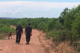 Truy tìm gã con rể nghi giết mẹ vợ rồi bỏ trốn vào rừng