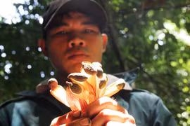 Chờ ươi... hạ cánh