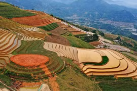 Thêm một quần thể ruộng bậc thang mới nổi ở Yên Bái thu hút giới trẻ