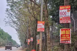 Gia tăng 'nhân tố' đẩy giá bất động sản lên cao