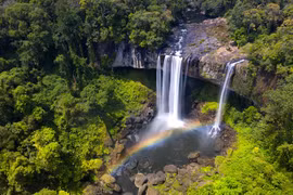 Giấc mơ đại ngàn