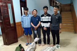 Đắk Lắk: Bắt giữ nhóm hạ sát sơn dương quý hiếm trong vườn quốc gia