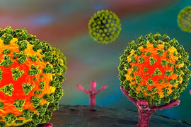 Phát hiện cách mới tiêu diệt SARS-CoV-2