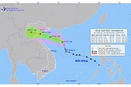 Biển Đông lại có áp thấp nhiệt đới, Bắc Bộ và Bắc Trung Bộ mưa rất to