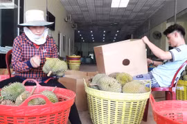 Bắt giam đối tượng thu tiền bảo kê của thương lái