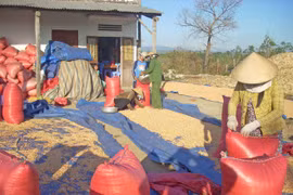 Kông Chro có xã đầu tiên đạt chuẩn nông thôn mới