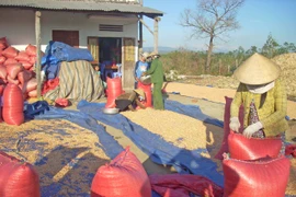 Kông Chro có xã đầu tiên đạt chuẩn nông thôn mới