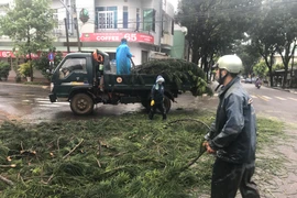 Gia Lai: Chủ động ứng phó thời tiết cực đoan