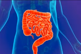 Cấy ghép phân có thể được dùng để điều trị Covid-19