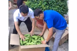 Gia Lai: 3 tấn rau củ quả hỗ trợ người dân Đồng Nai