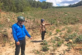 Kbang: Nắng hạn gây thiệt hại 745 ha cây trồng vụ mùa