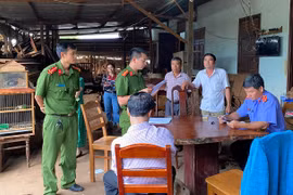 Gia Lai: Truy tố 7 bị can mua bán gần 1.400 m3 gỗ