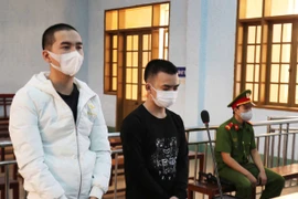 Vận chuyển ma túy kiếm lời, 2 đối tượng lãnh án
