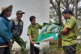 Vườn Quốc gia Chư Yang Sin: Nhức nhối nạn săn bắn thú rừng