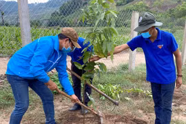 Hội Liên hiệp Thanh niên tỉnh Gia Lai tổ chức hành trình về nguồn