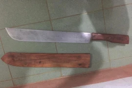 Pleiku: Mang dao đi chơi bị Cảnh sát Cơ động bắt giữ